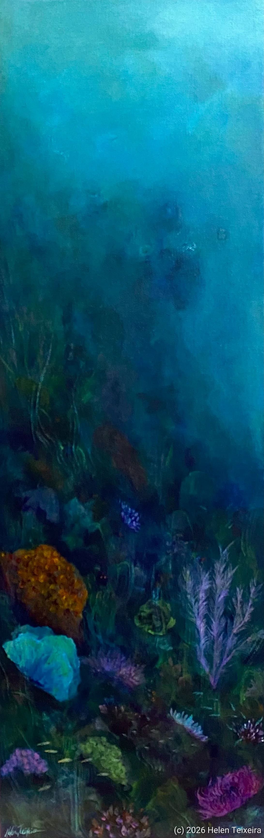 Dream Weaver Reef
