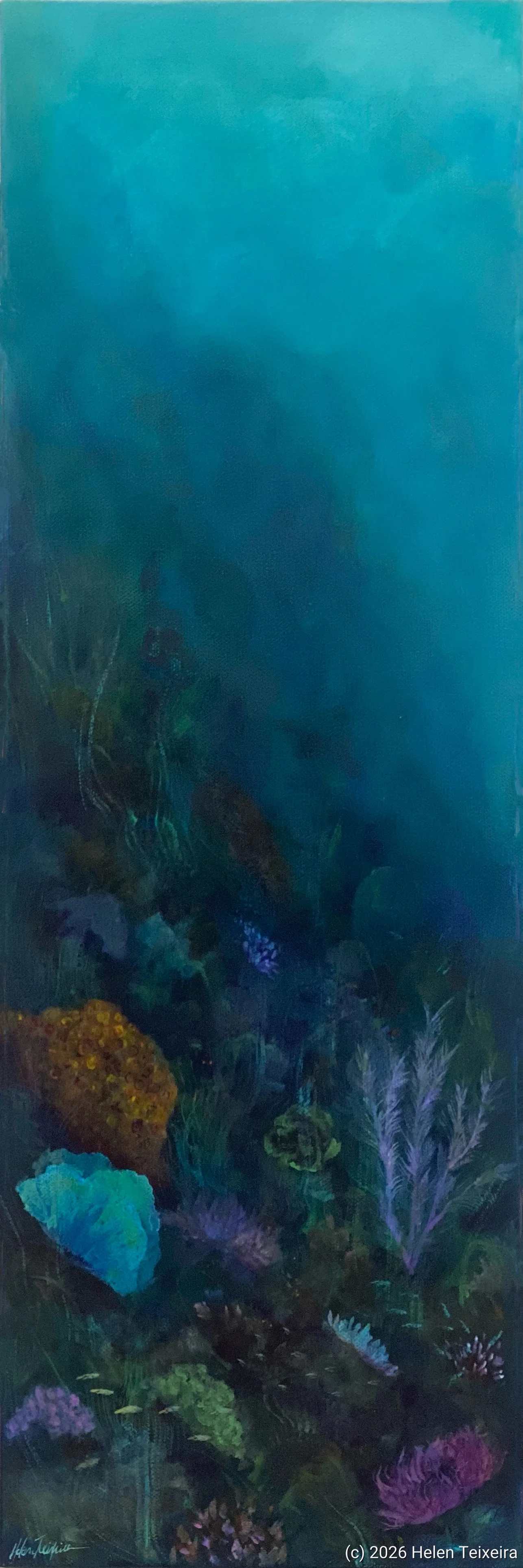 Dream Weaver Reef